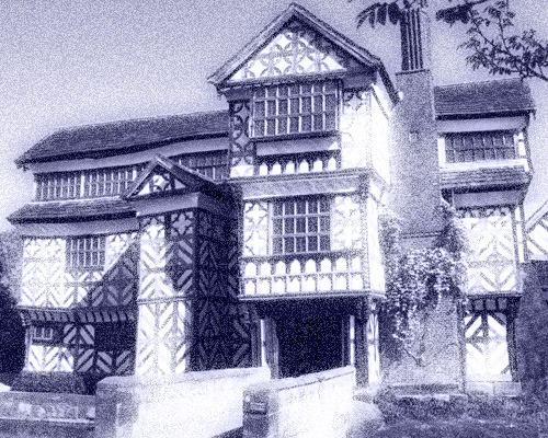 portfolio 8